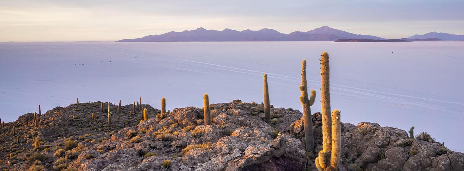 zoutvlakte bolivia tegen zonsondergang met cactussen