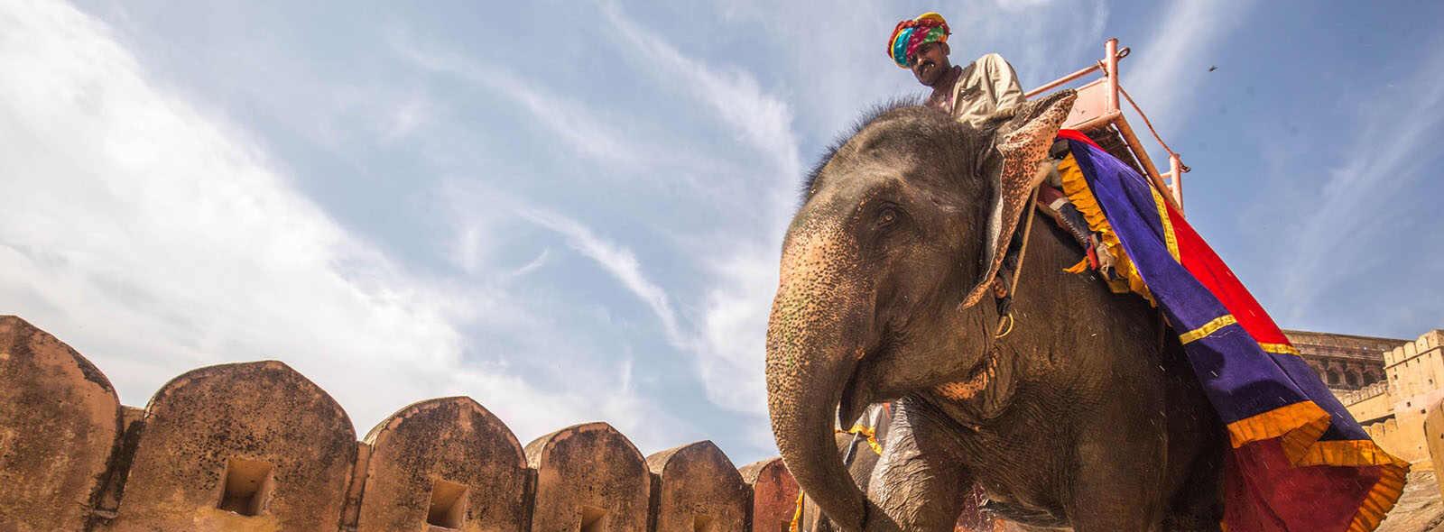 aziatische olifant met man op de rug jaisalmer