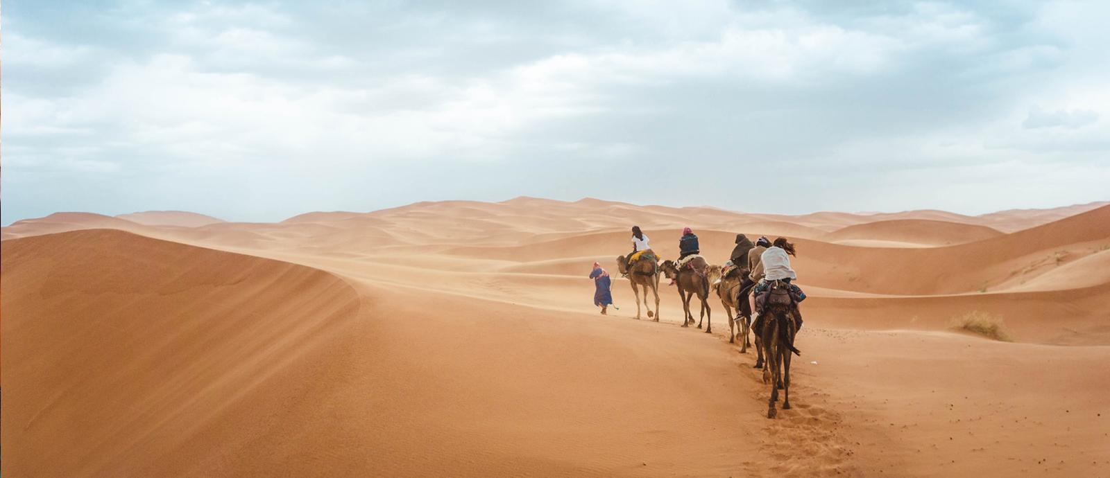 kameel karavaan door sahara marokko
