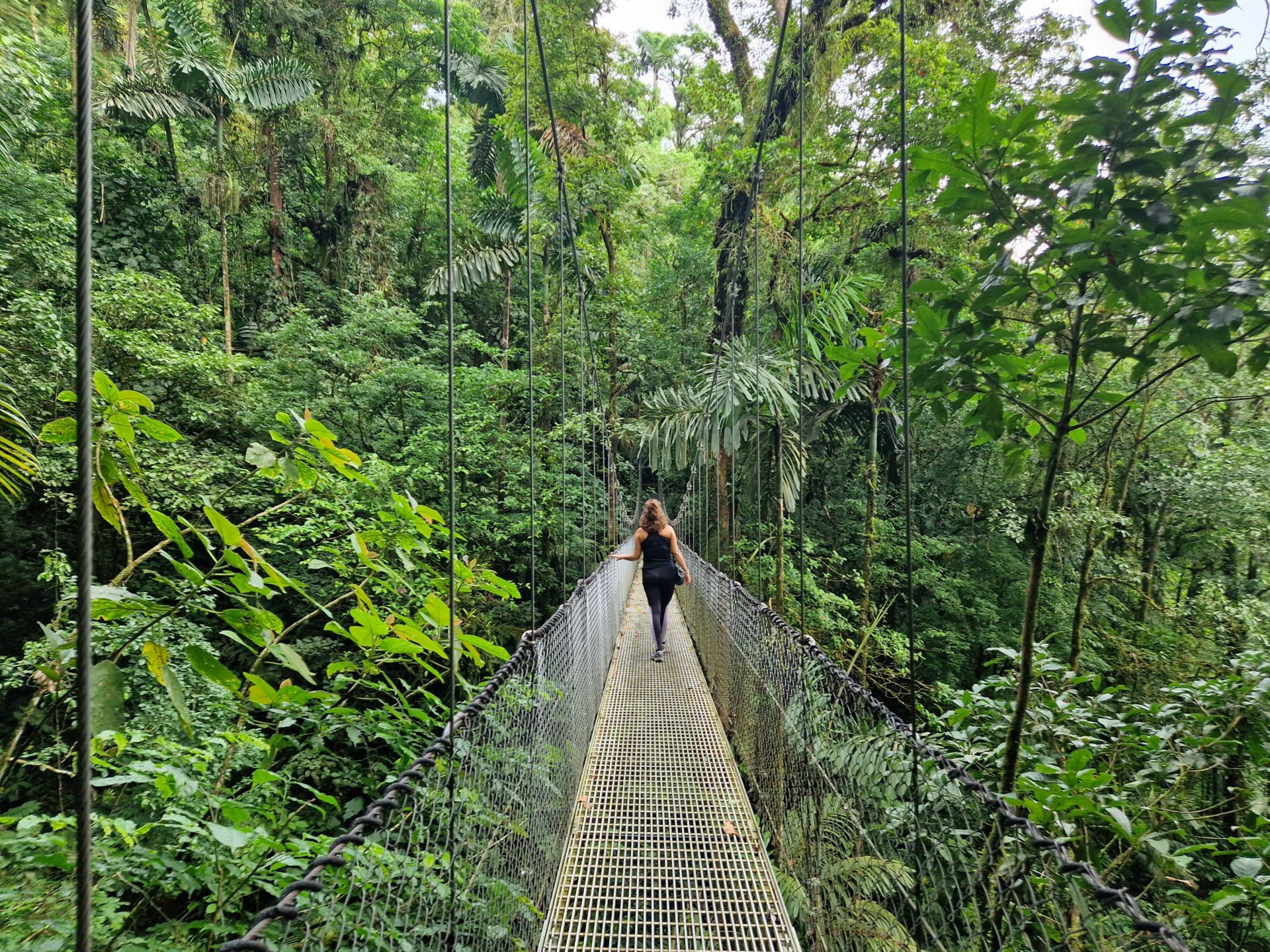 Foto collega Lisa op een hangbrug in Costa Rica in La Fortuna