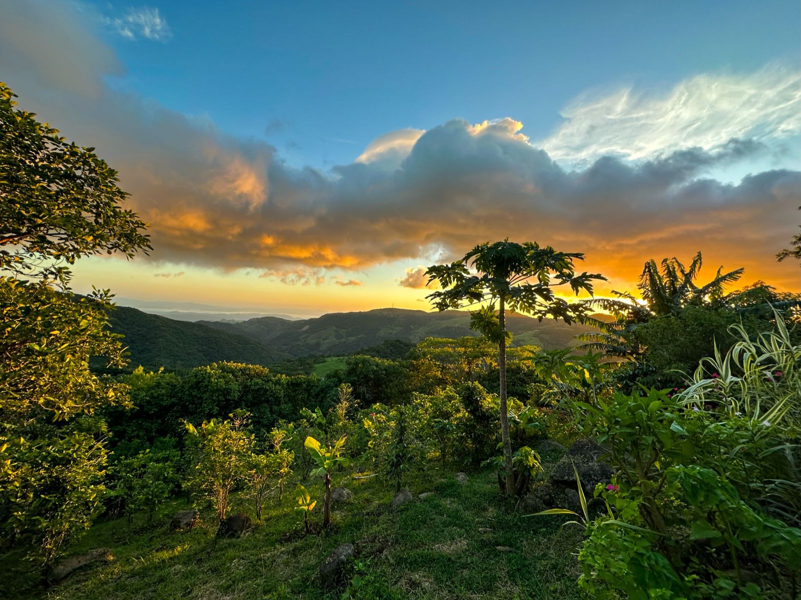 Foto medewerker Annelou, Costa Rica