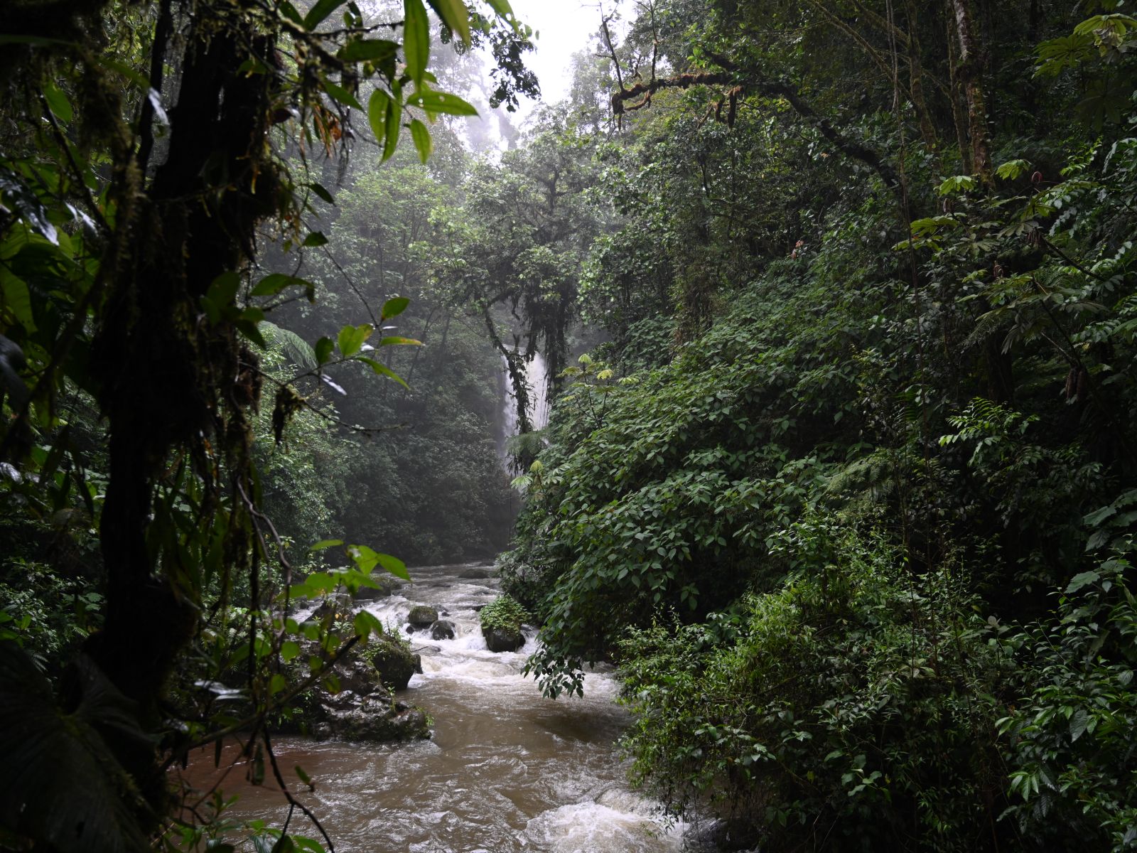 Foto medewerker Wieke, Costa Rica La Paz Watervallen