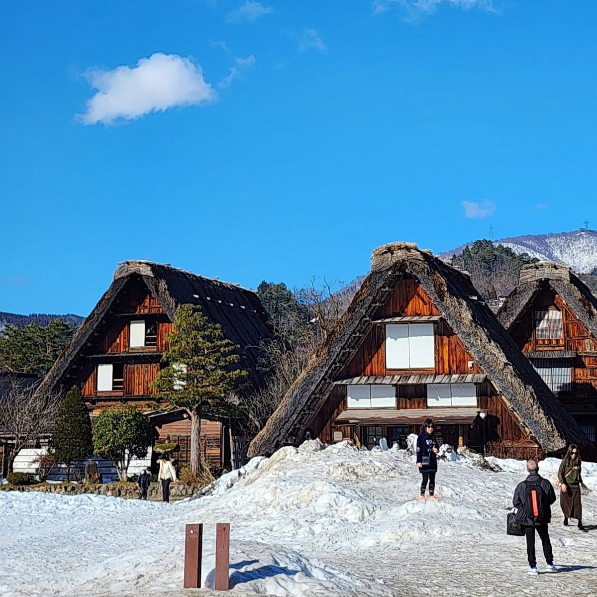 Rondreis Japan, Shirakawa in de Japanse Alpen Authentieke huizen met sneeuw
