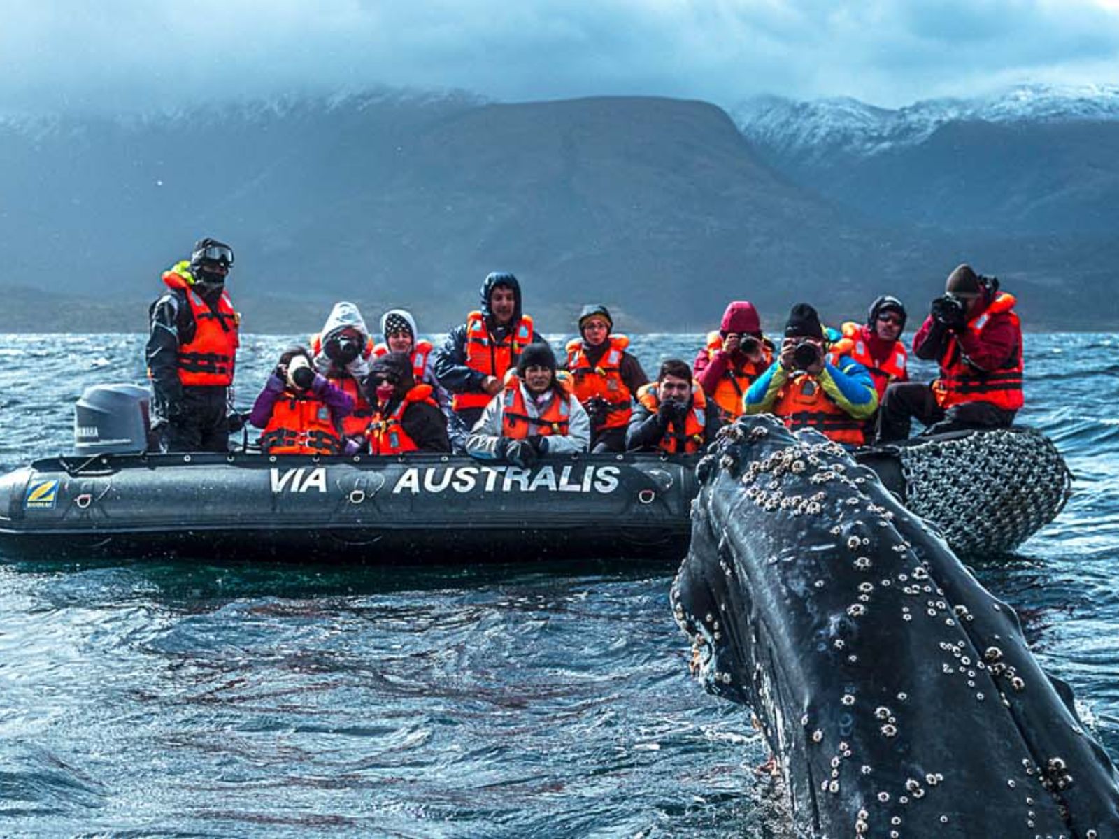 Rondreis Chili, Punta Arenas, expeditie