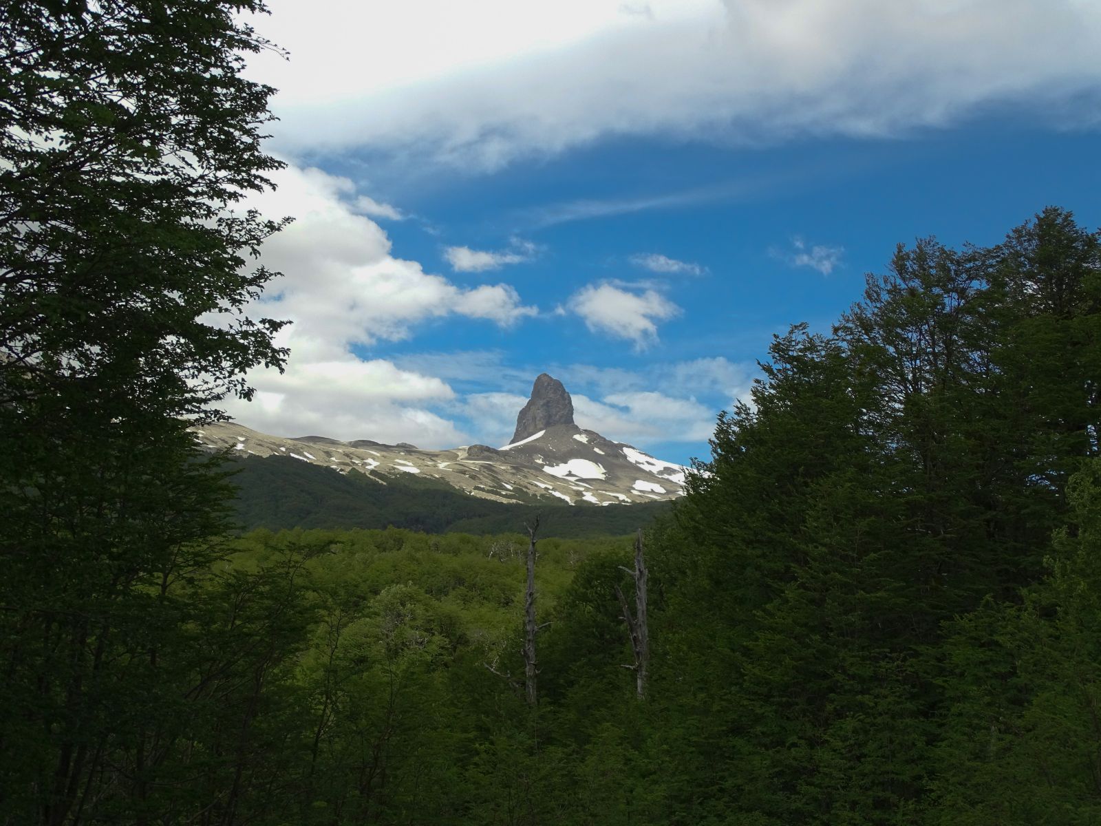 rondreis Chili, Puyehue Paso Cardenal Samoré