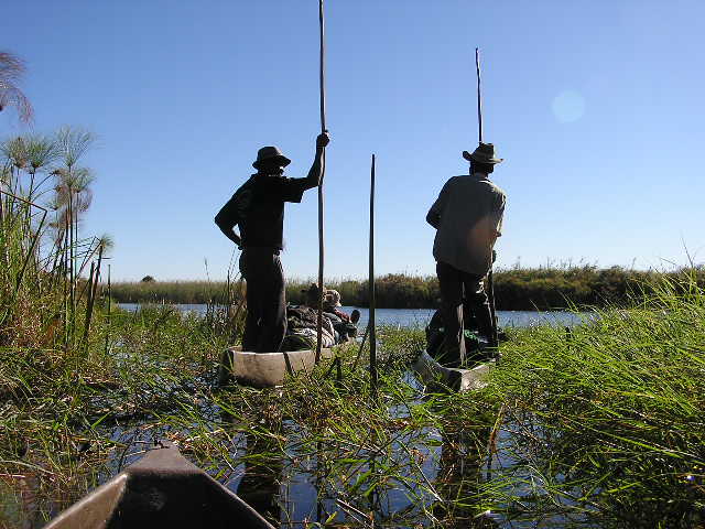 Wachten op nijlpaarden in een mokoro in Botswana