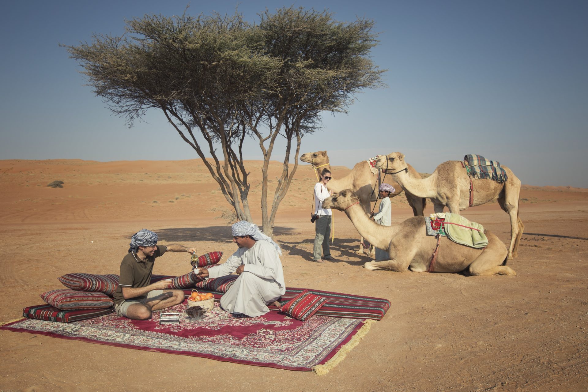 Oman desert adventure thee drinken kamelen