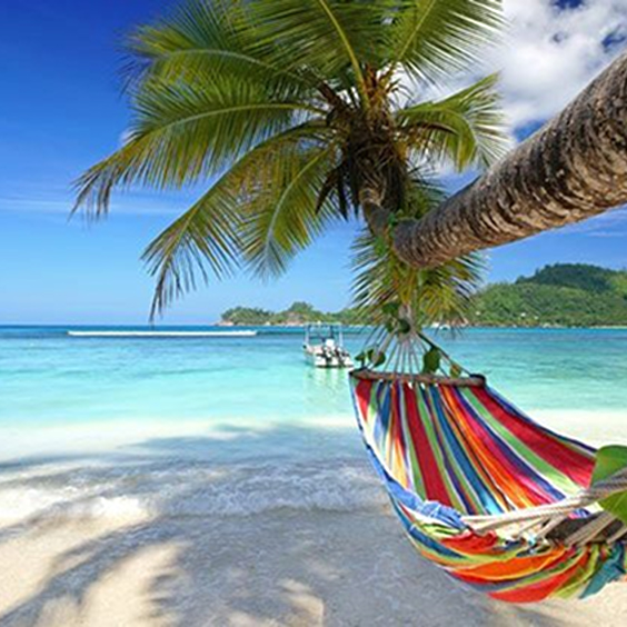 Strandvakantie hangmat tussen de palmbomen