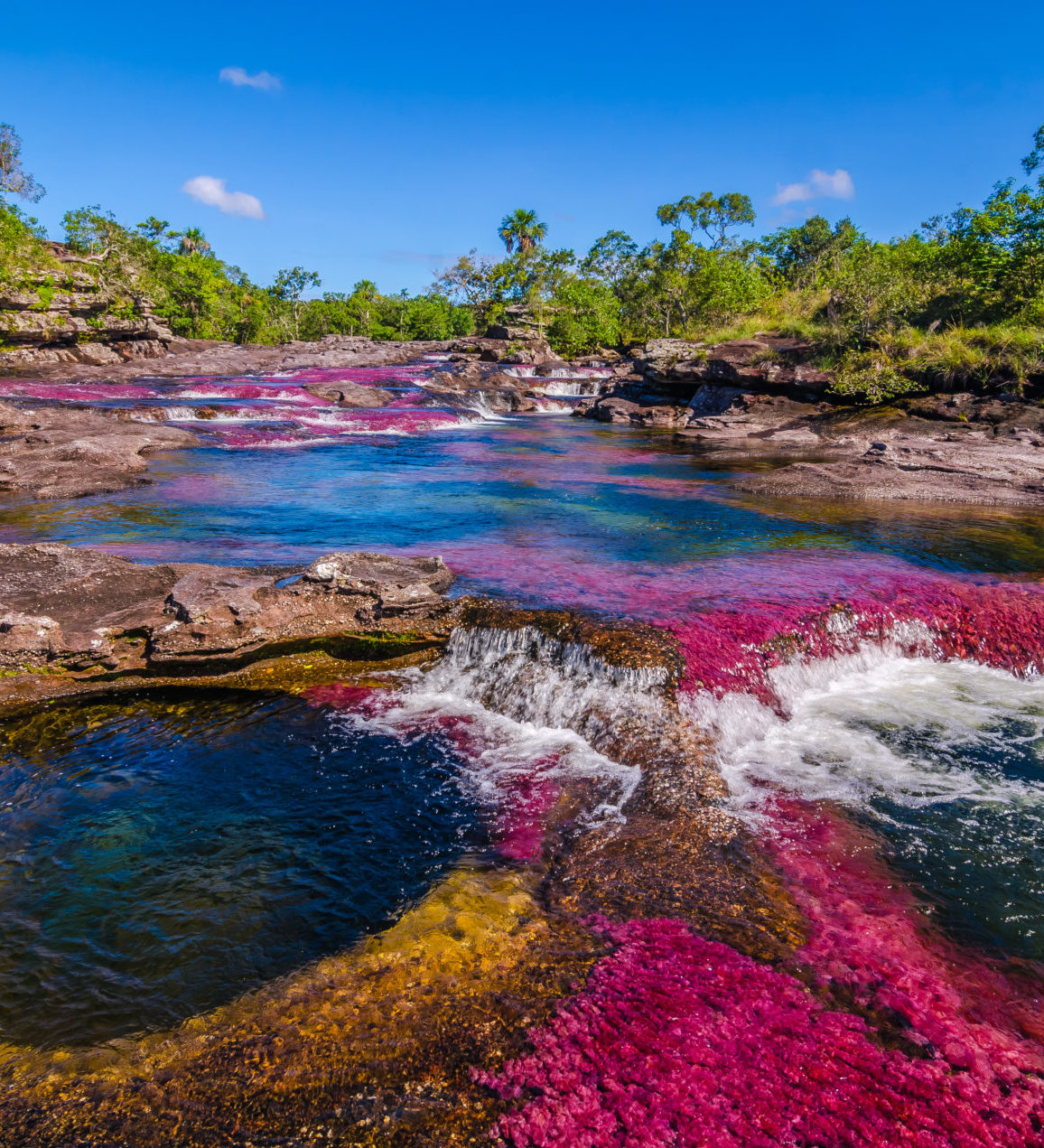 Rondreis Colombia, Caño Cristales