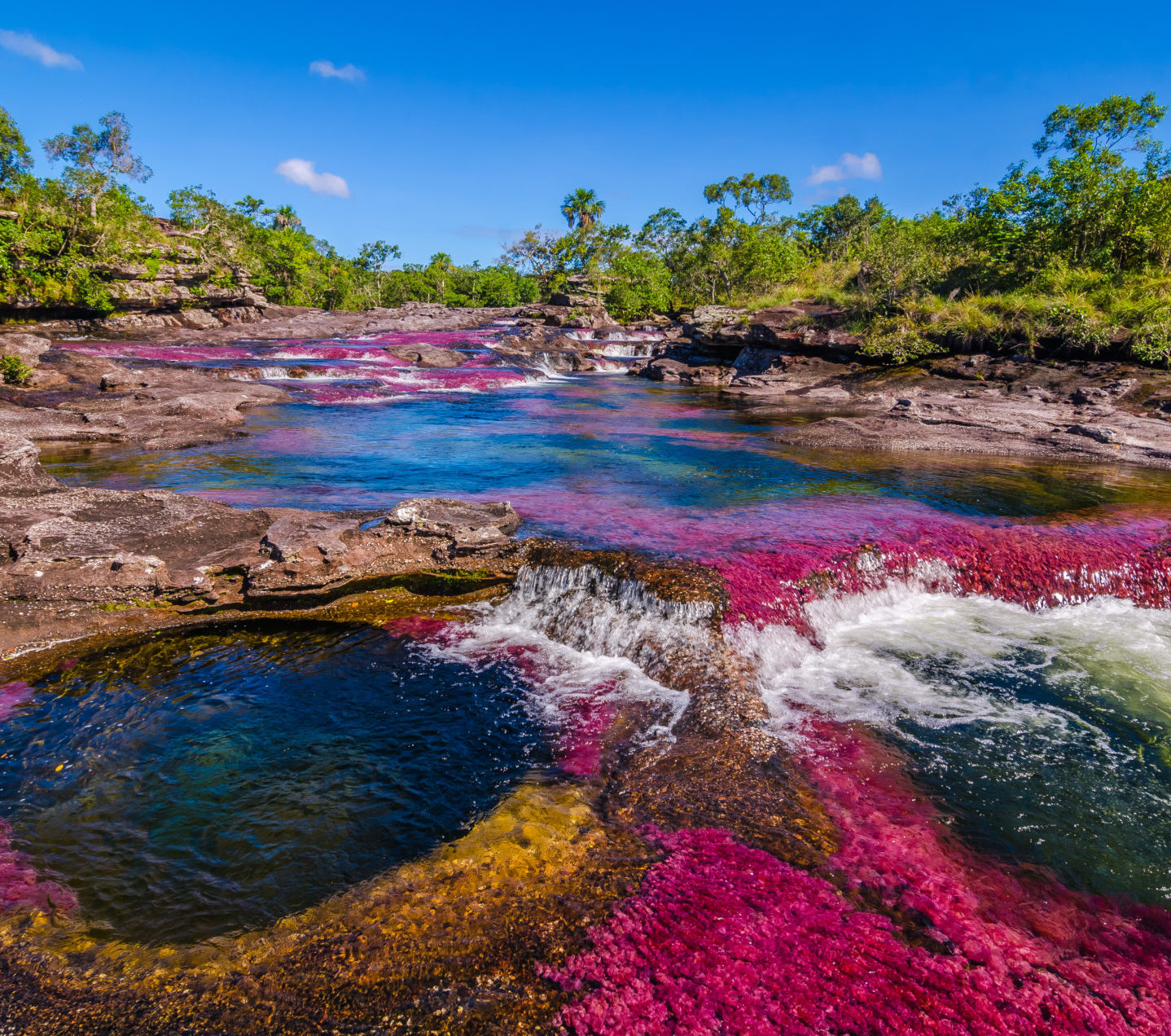 Rondreis Colombia, Caño Cristales