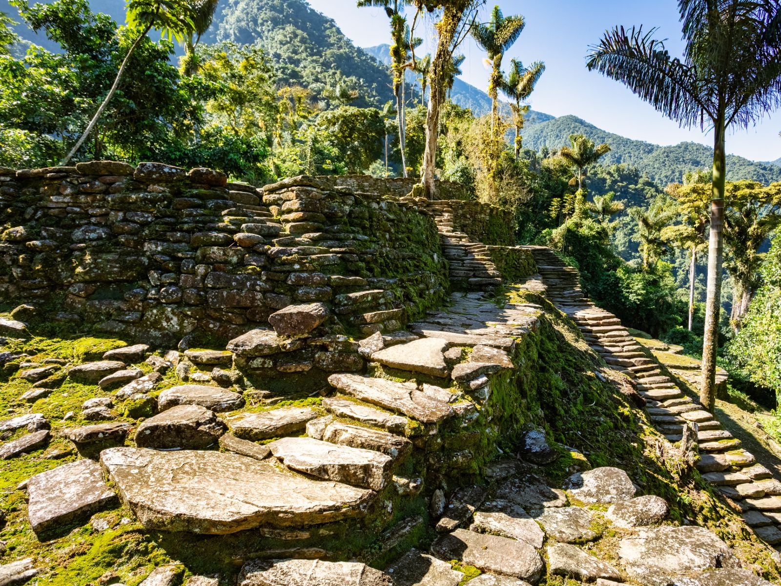 Rondreis Colombia, Ciudad Perdida, pad omhoog