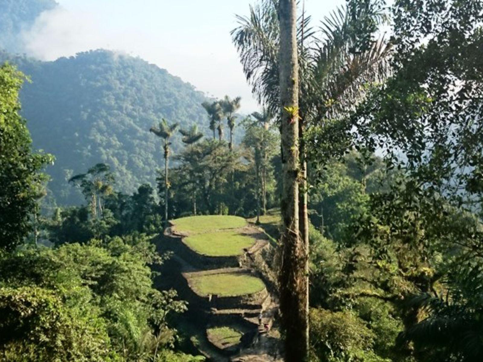 Rondreis Colombia, Pereira bomen en heuvels