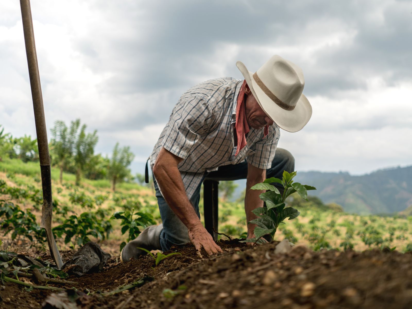 Rondreis Colombia, Pereira, man op koffieboederij