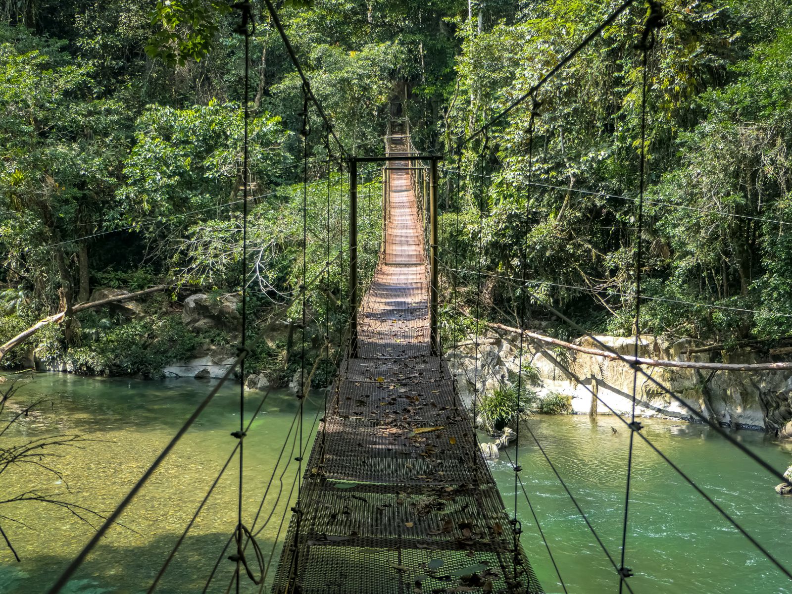 Rondreis Colombia, Río Claro, brug over rivier