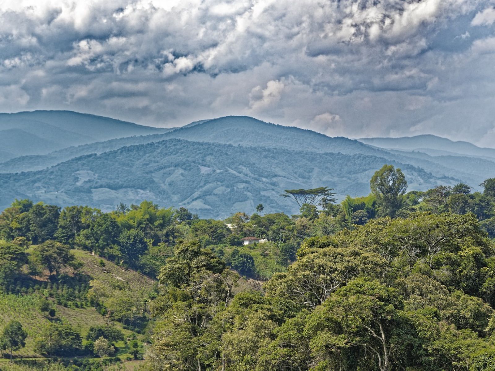 Rondreis Colombia, San Agustin omgeving
