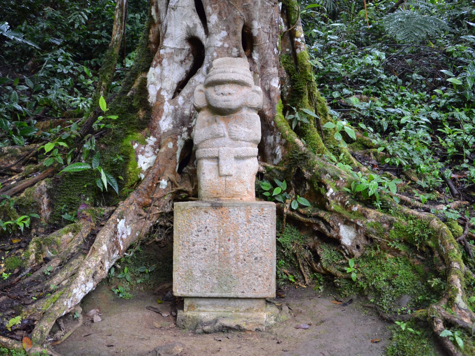 Rondreis Colombia, San Agustin standbeeld voor een boom