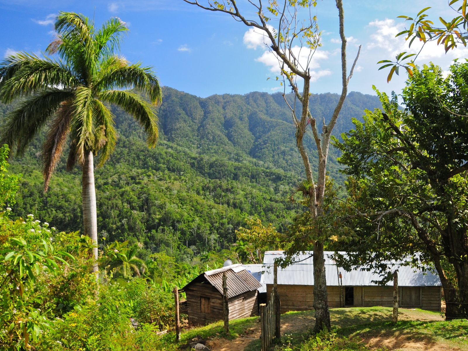Rondreis Cuba, Sierra Maestra bergen en bos met gebouw op voorgrond