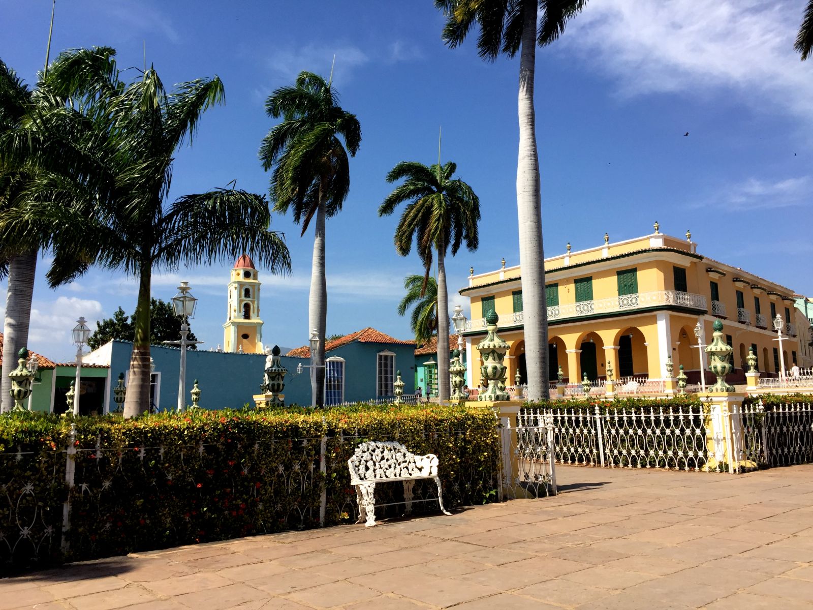 Rondreis Cuba, Trinidad, Palmbomen met gebouwen