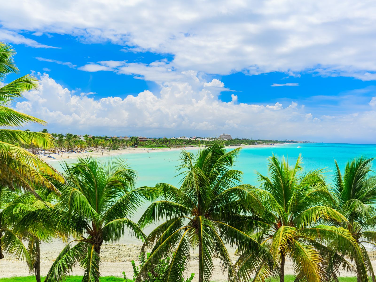 Rondreis Cuba, Varadero, strand met palmbomen