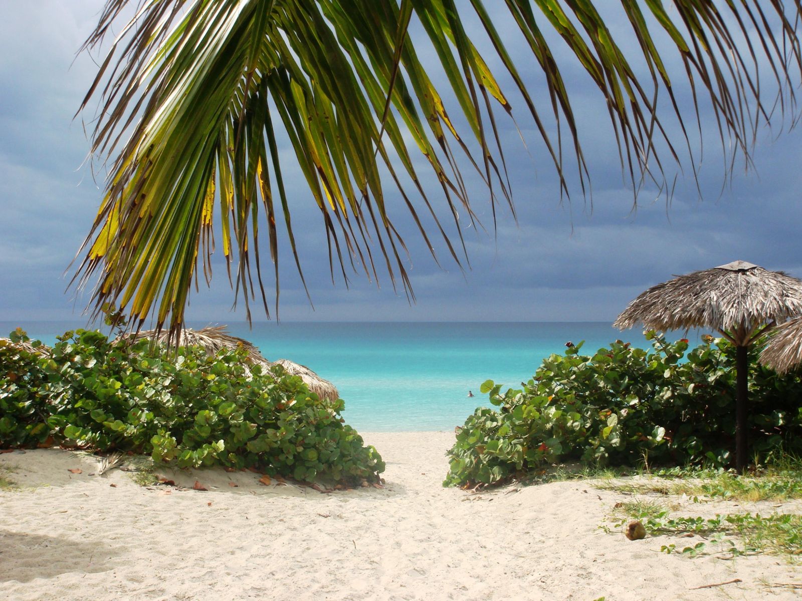 Rondreis Cuba, Varadero, strand met paraplu's