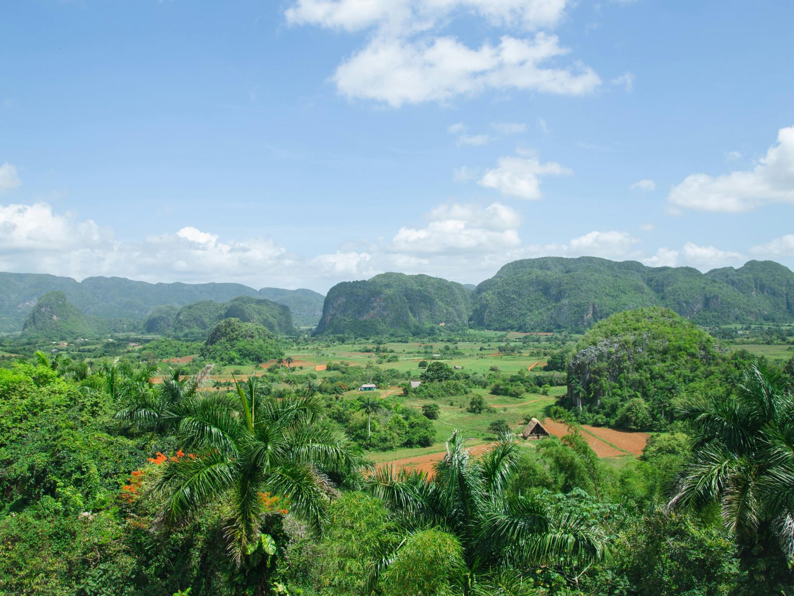 Rondreis Cuba, Viñales Vallei rotsen