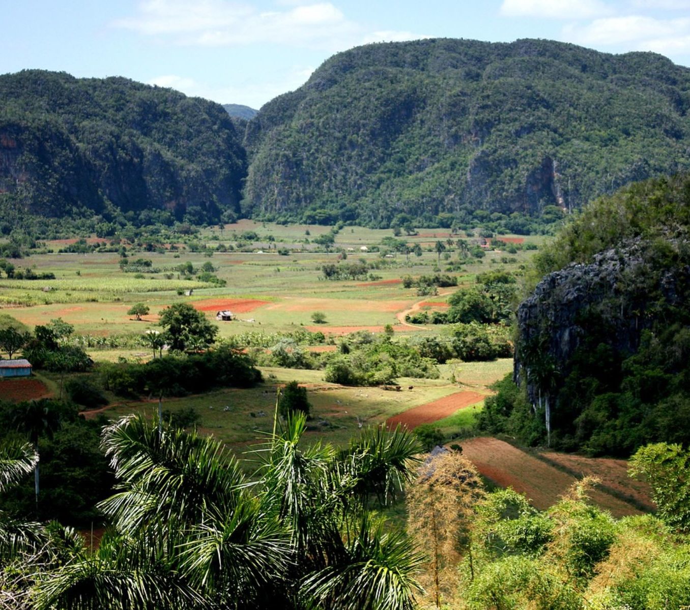 Rondreis Cuba, Viñales Vallei tabakvelden