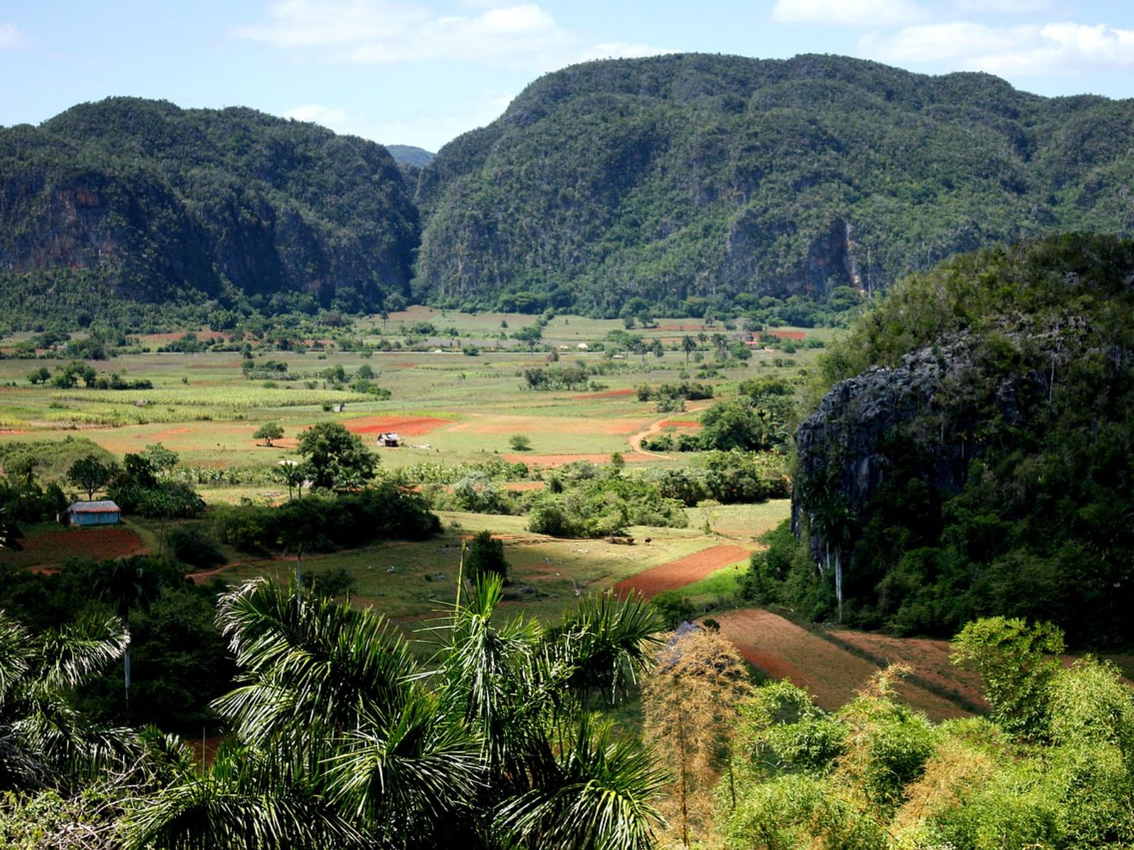 Rondreis Cuba, Viñales Vallei tabakvelden