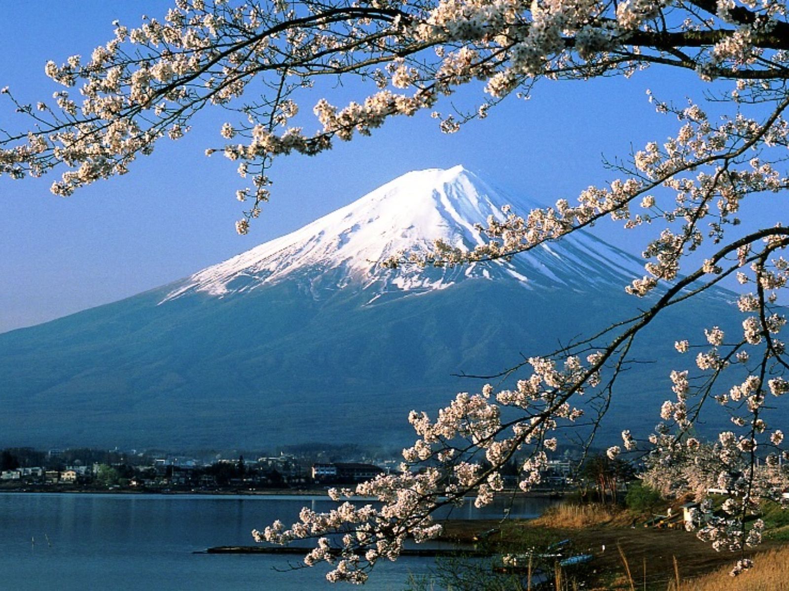 Rondreis Japan, Fujinomiya Mt. Fuji Meer
