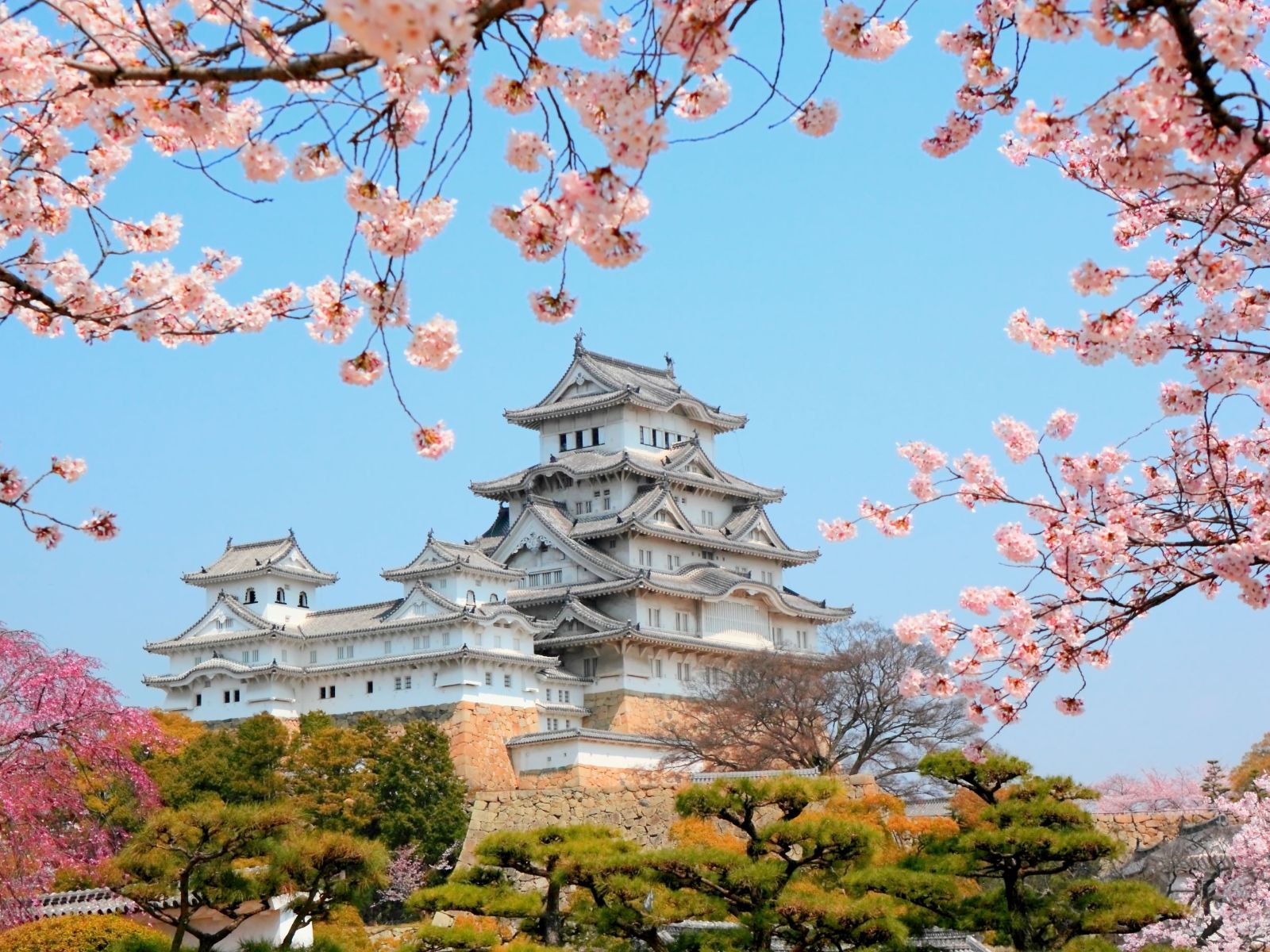 Rondreis Japan, Himeji Kasteel, kasteel met kersenbloesem
