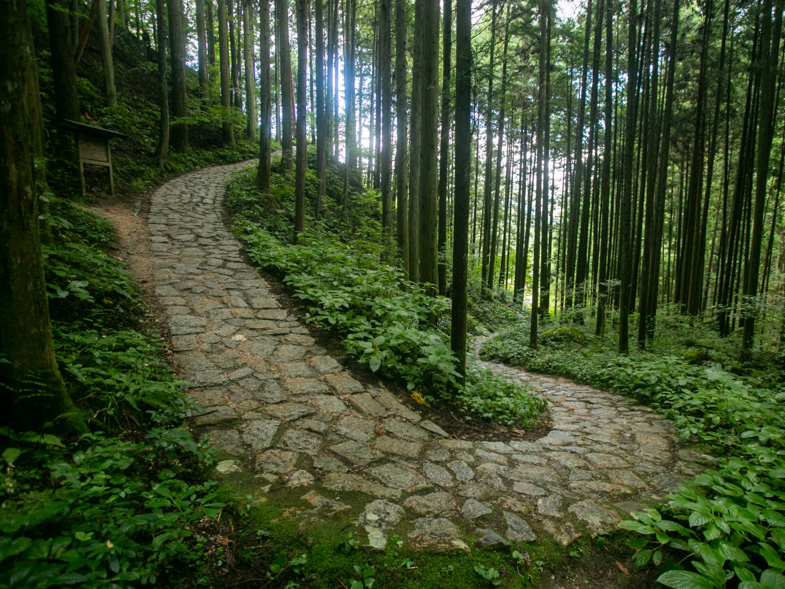Rondreis Japan, Kiso-Fukishima, bospad op de Nakasendo trail