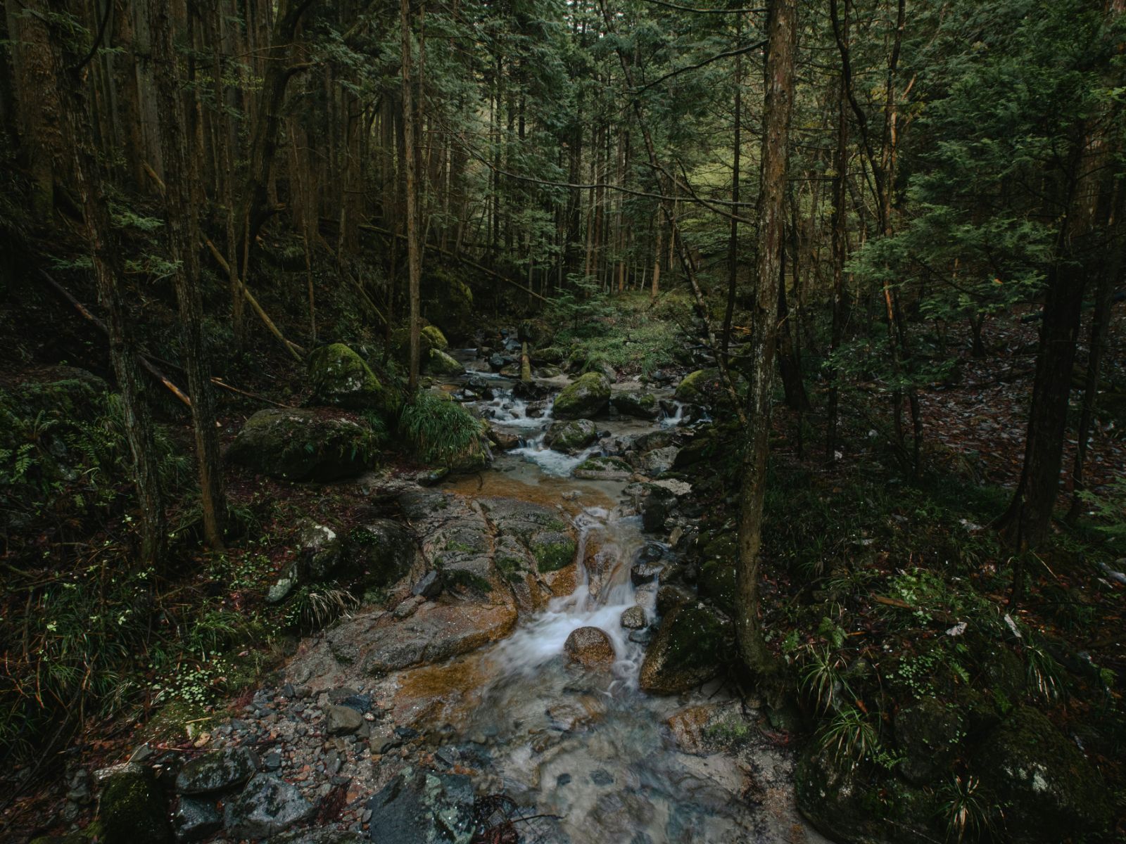 Rondreis Japan, Kiso-vallei, rivier in het bos