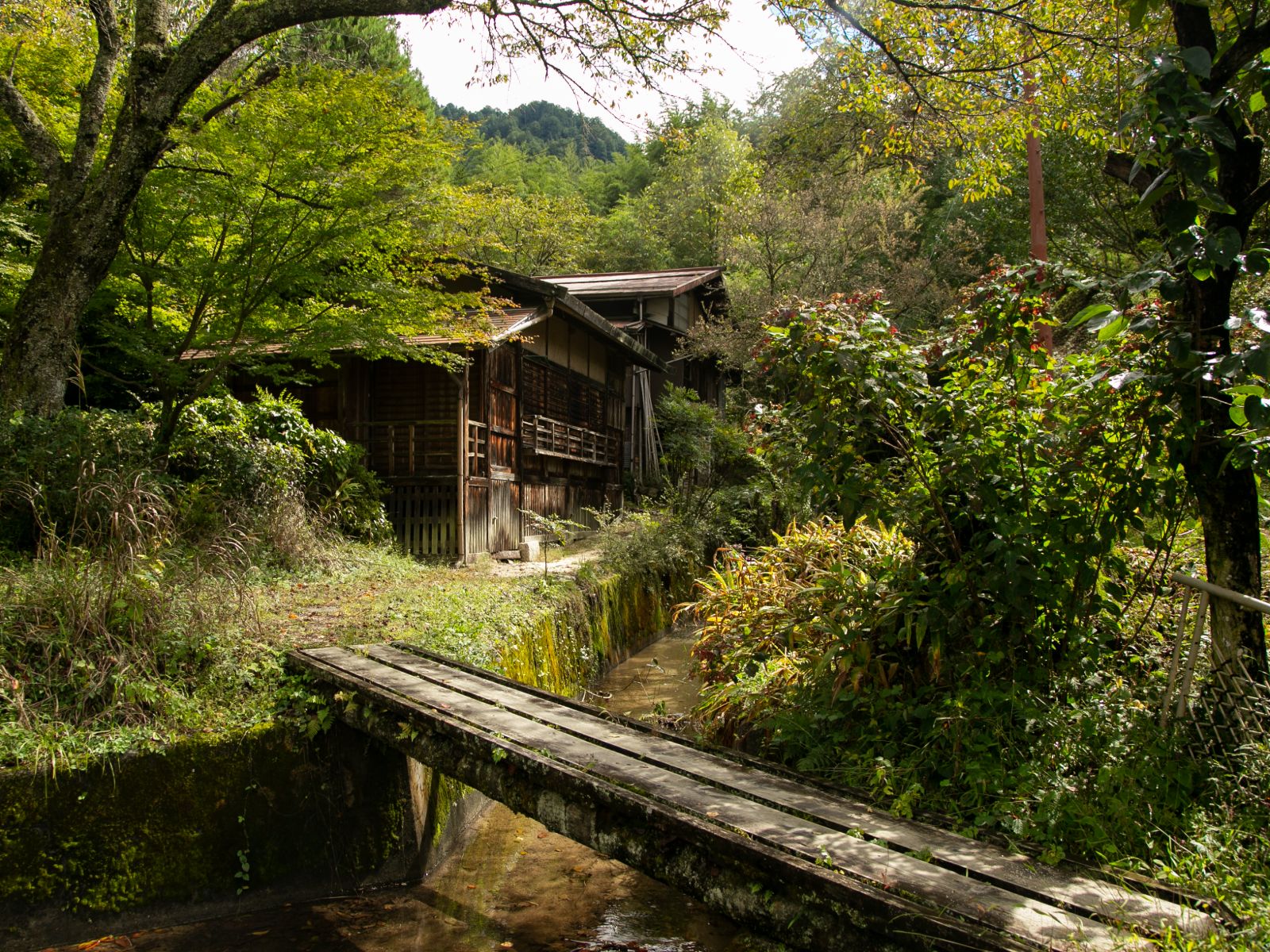 Rondreis Japan, Kiso-vallei, traditionele Japanse huisjes op de Nakasendo trail