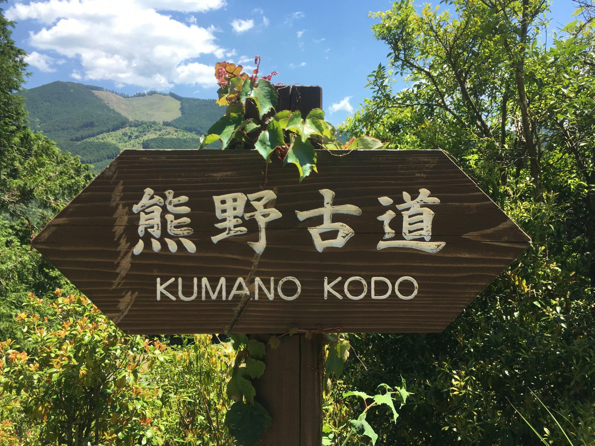 Rondreis Japan, Kumano Kodo bord 3