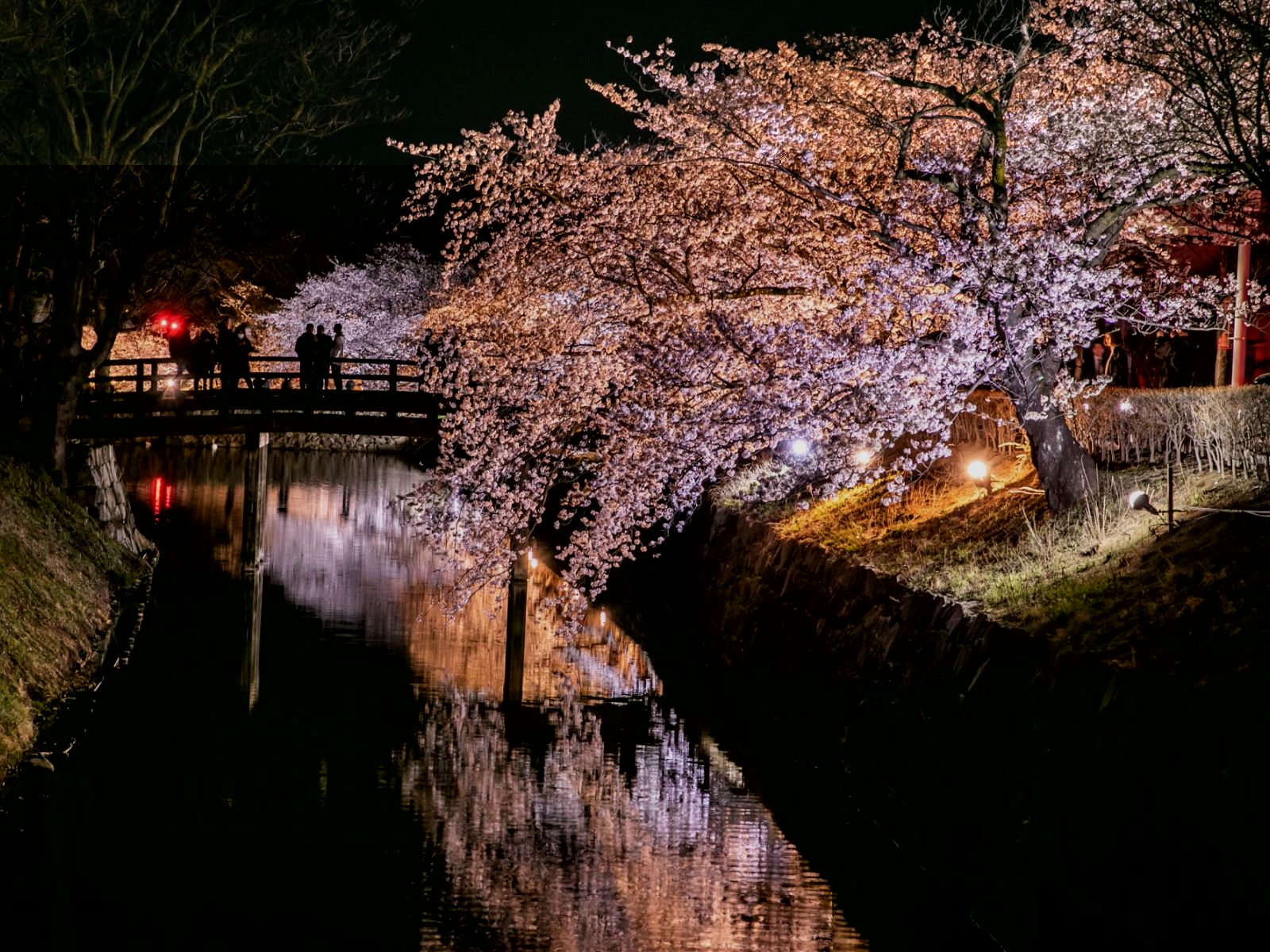 Rondreis Japan, Matsumoto Kersenbloesem