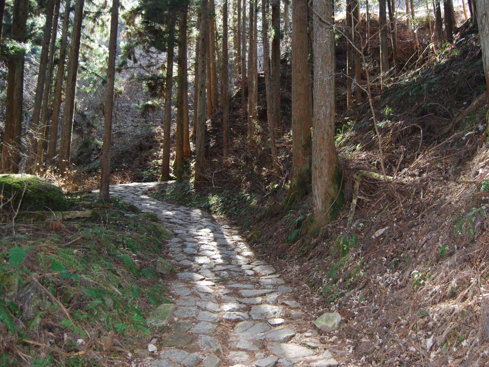 Rondreis Japan, Nakasendo Trail, pad