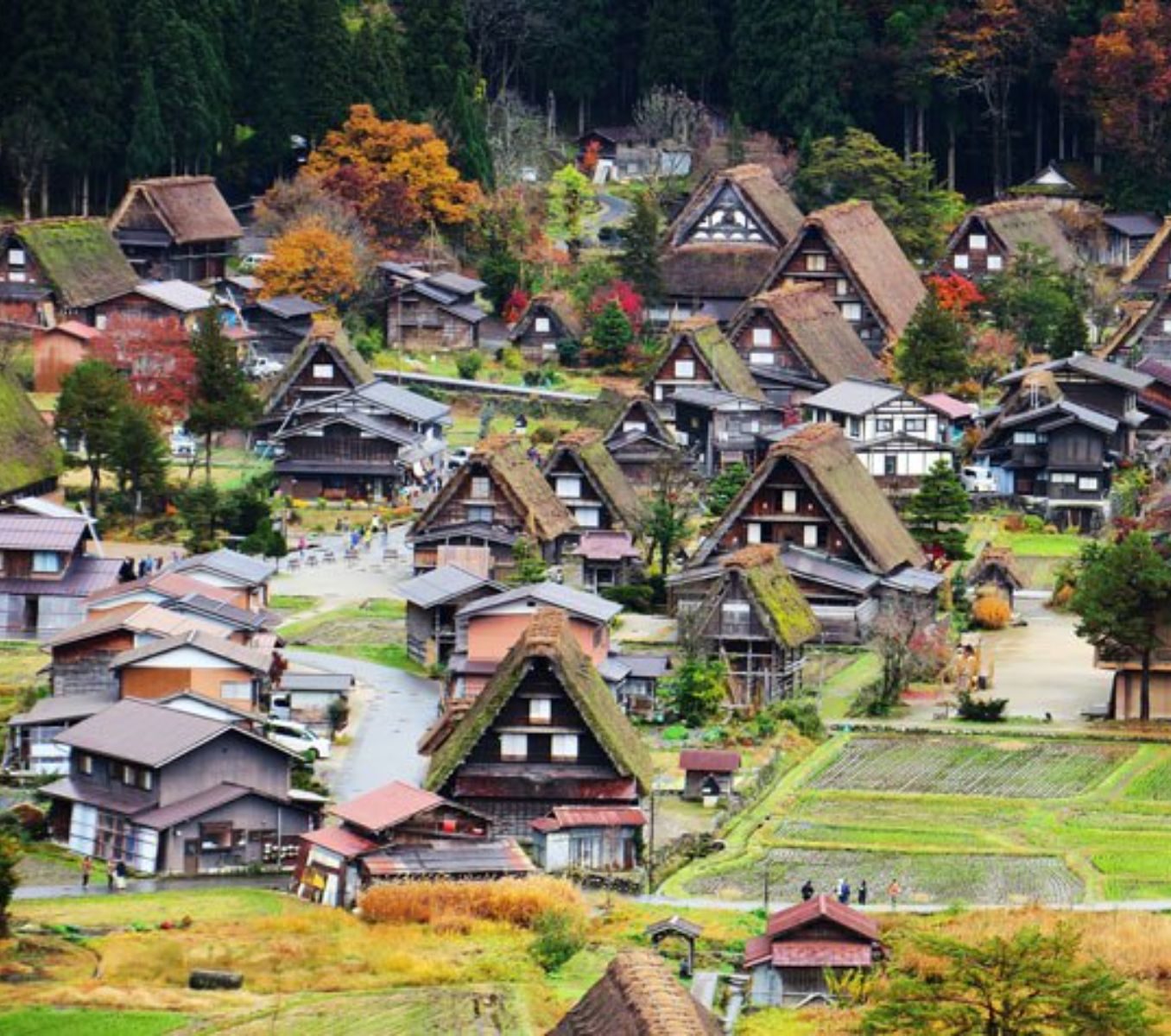 Rondreis Japan, Shirakawa-go, bovenaanzicht Shirakawa