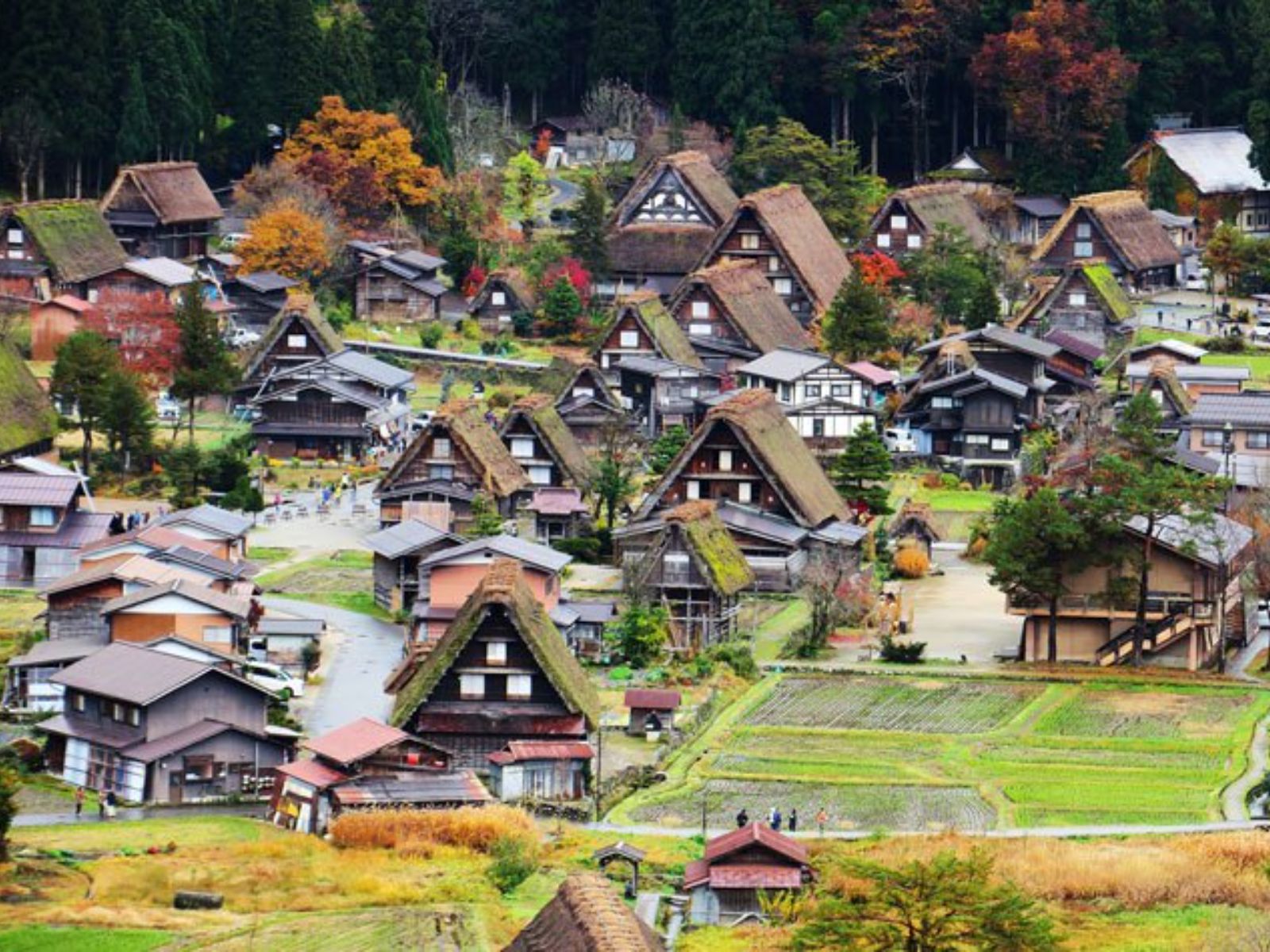 Rondreis Japan, Shirakawa-go, bovenaanzicht Shirakawa