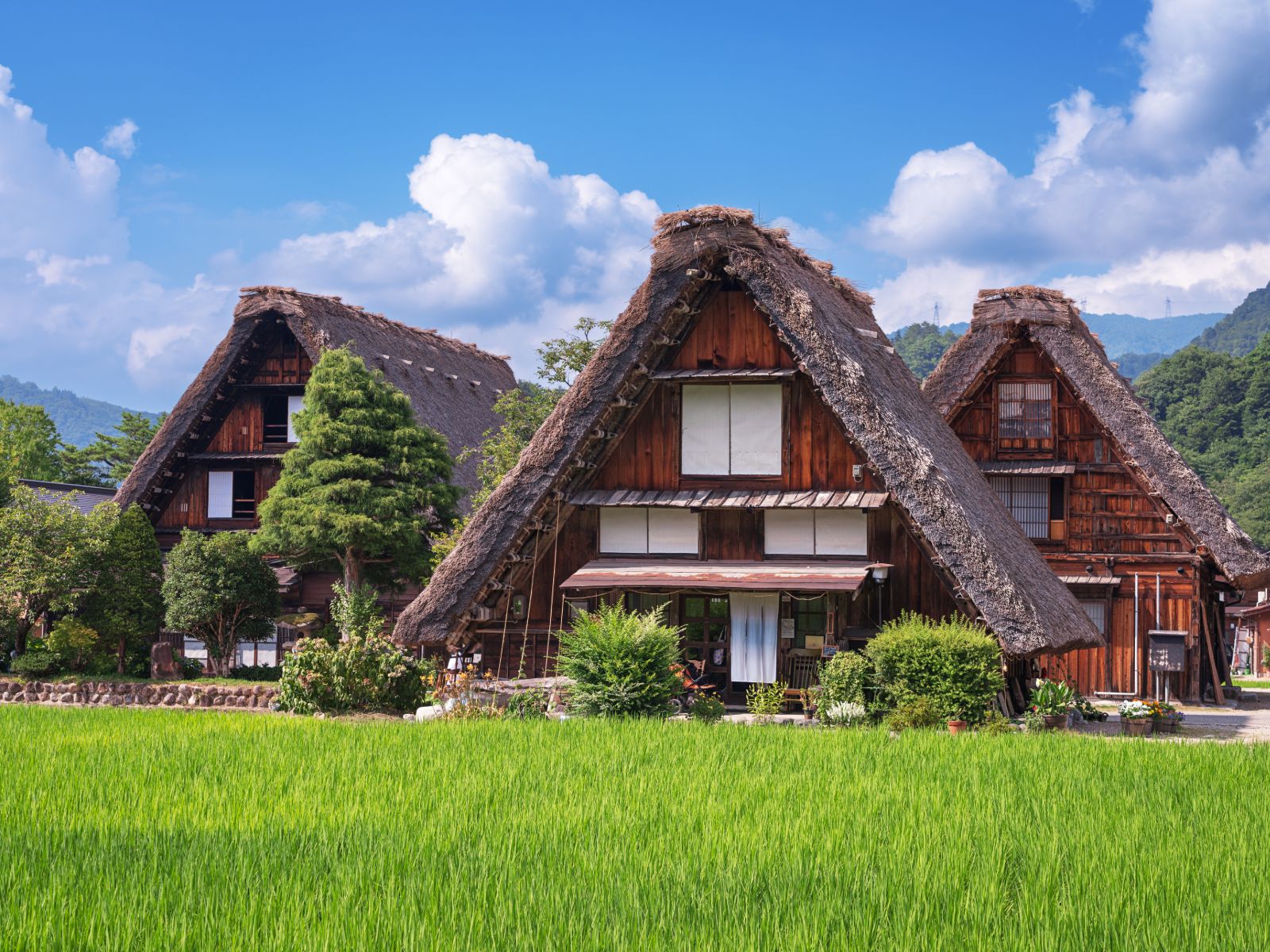Rondreis Japan, Shirakawa-go, huis met rijstveld