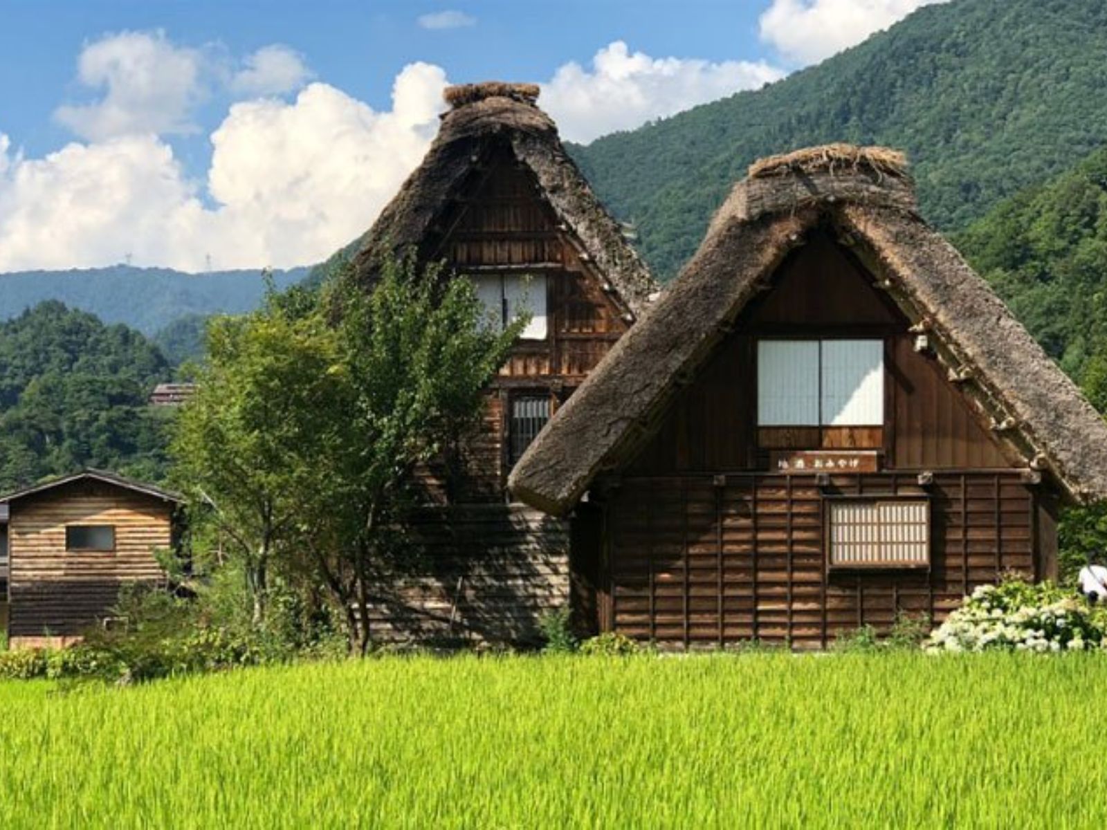 Rondreis Japan, Shirakawa-go, huizen