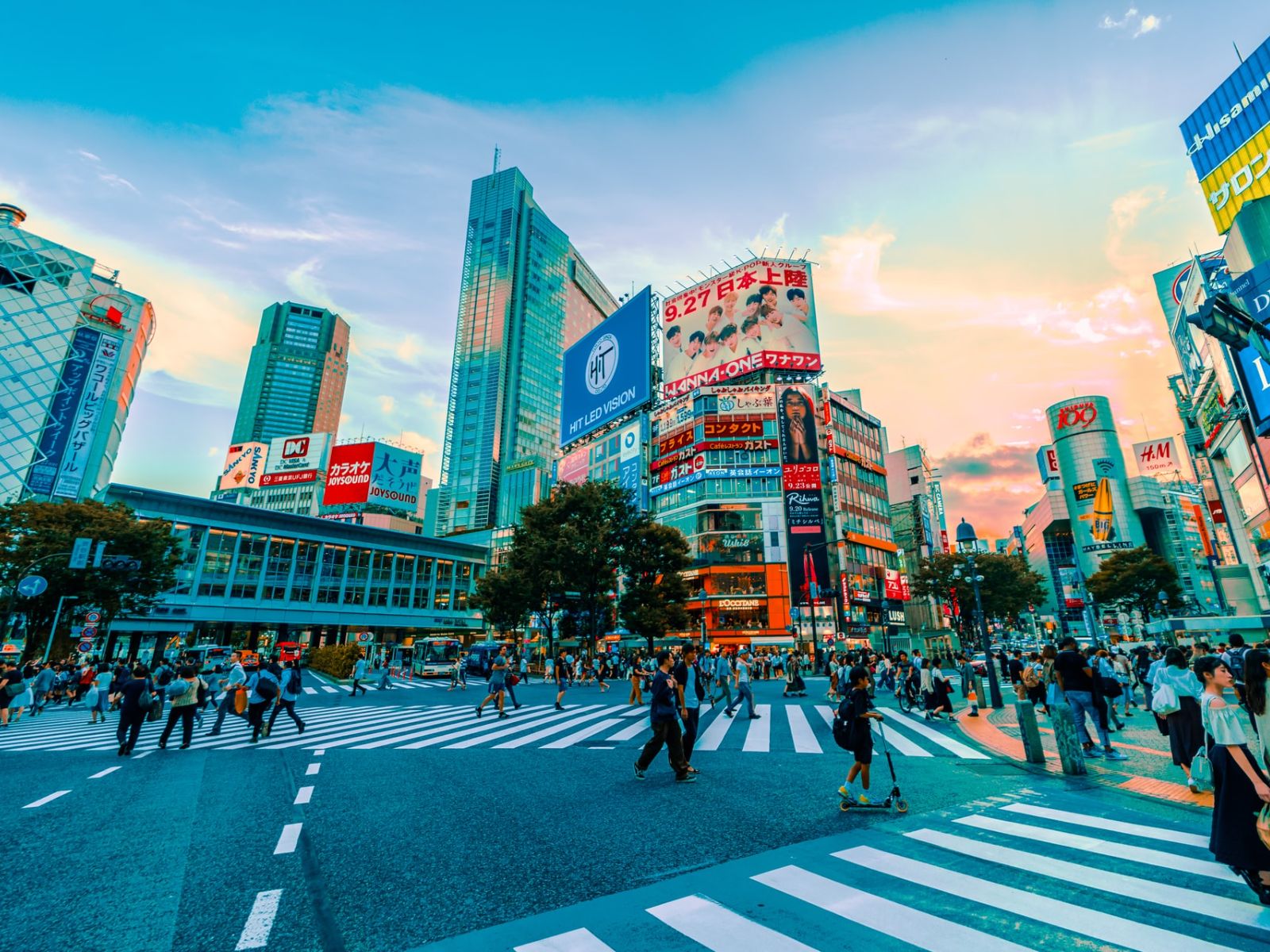 Rondreis Japan, Tokyo Shibuya Scramble Crossing