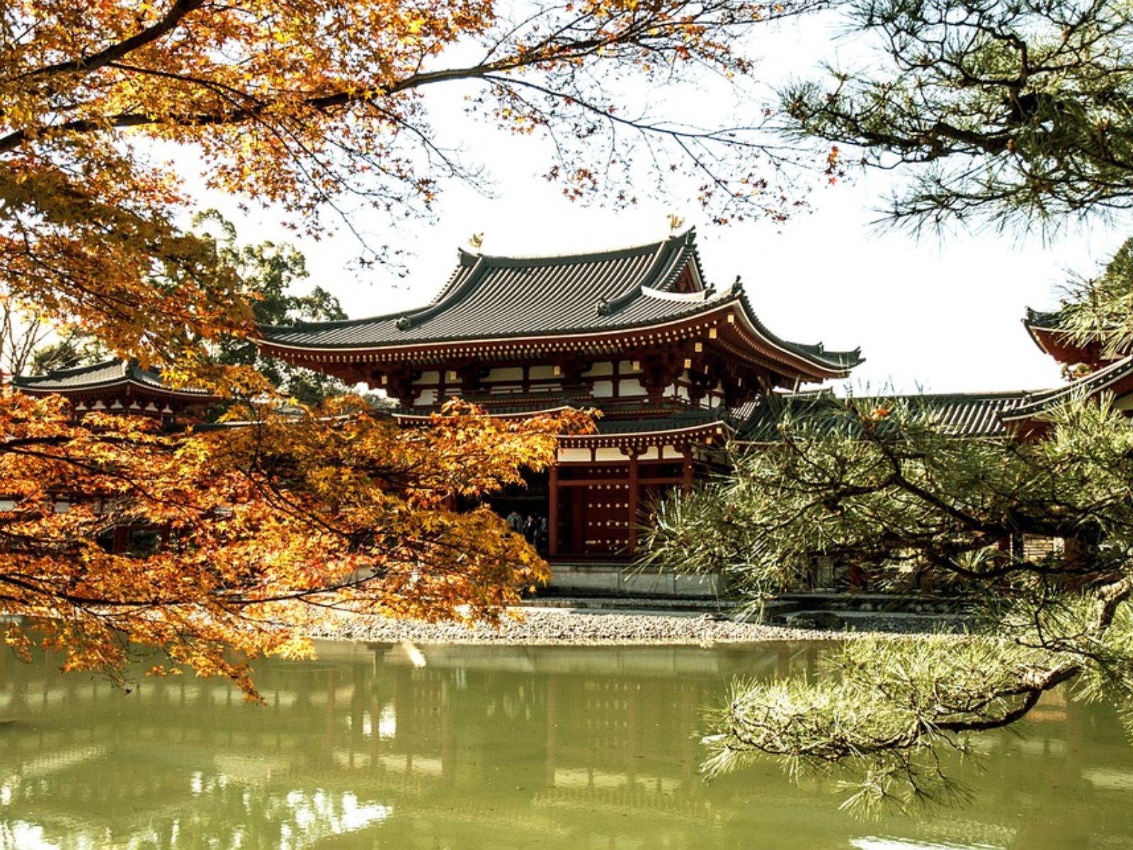 Rondreis Japan, Uji, Byodoin Tempel zijaanzicht