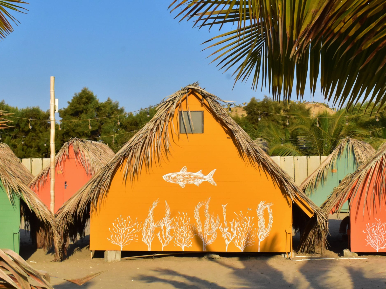 Rondreis Peru, Mancora, Selina Mancora - accommodatie tent 2