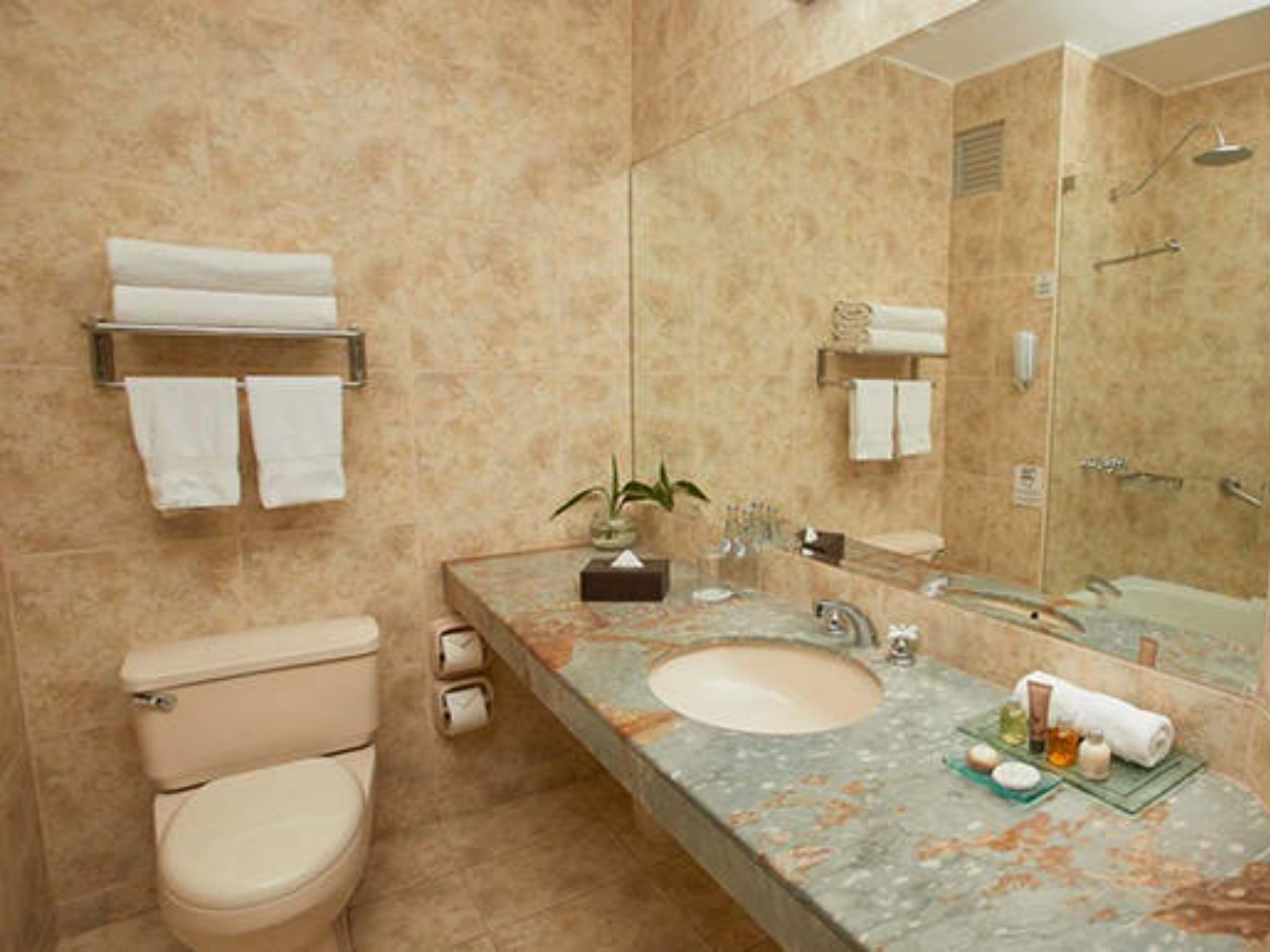 Rondreis Peru, Puno, Casa Andina Premium - badkamer