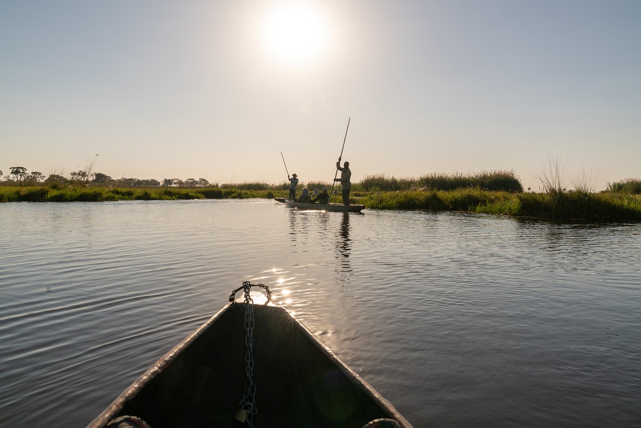 Varen in een mokoro in de Okavango Delta, Botswana