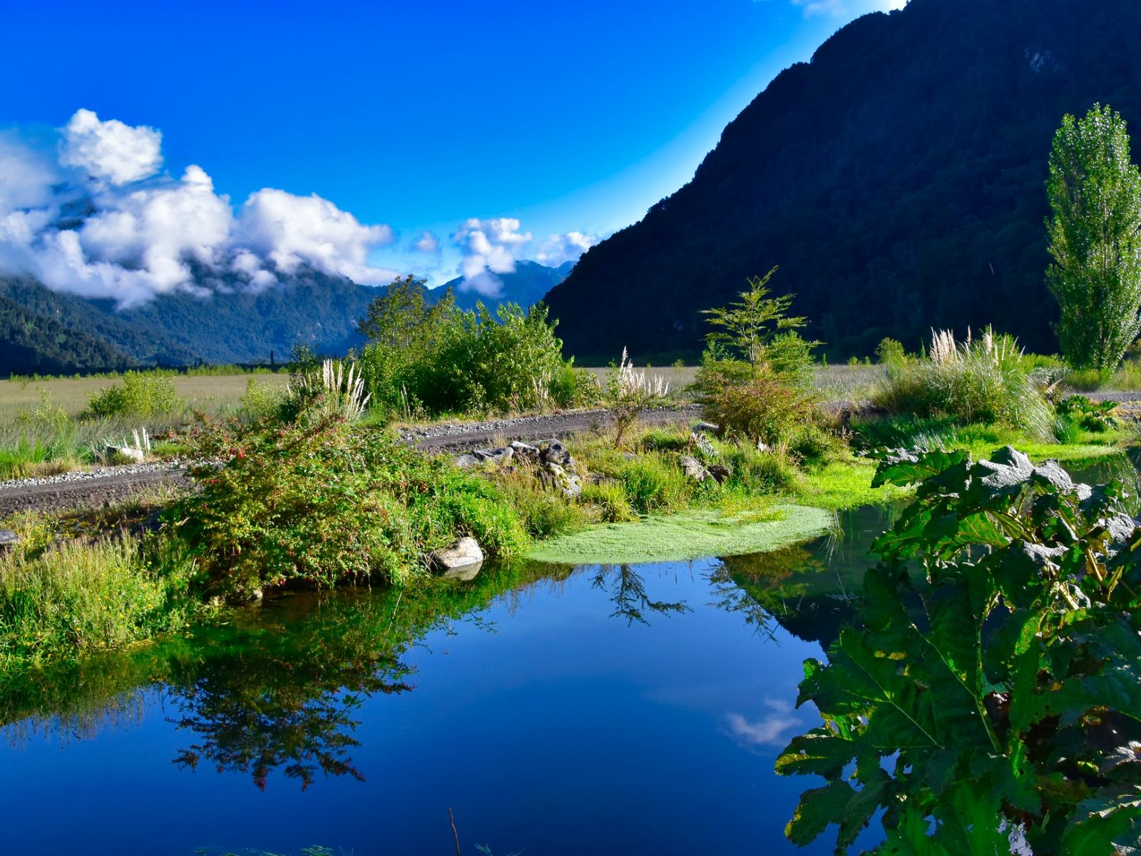 rondreis Chili, Puerto Varas, landschap