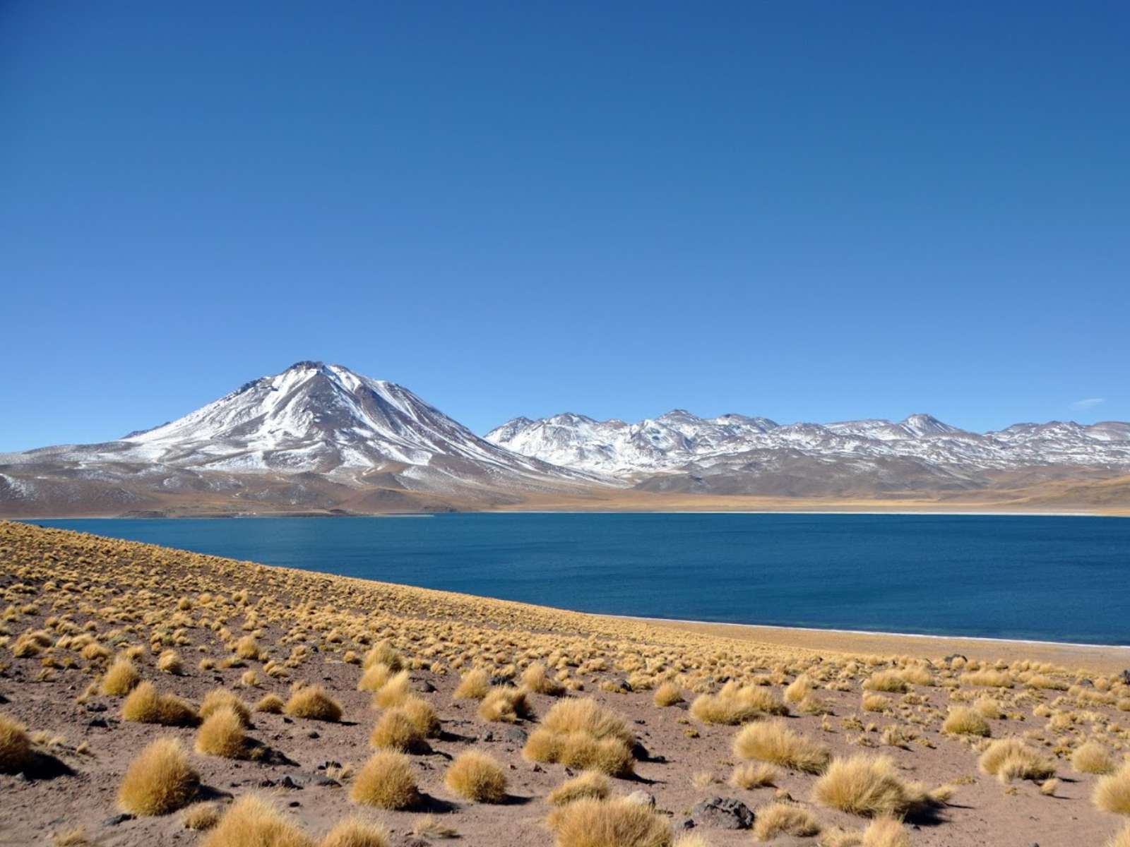 rondreis chili san pedro de atacama hoogtepunt 14