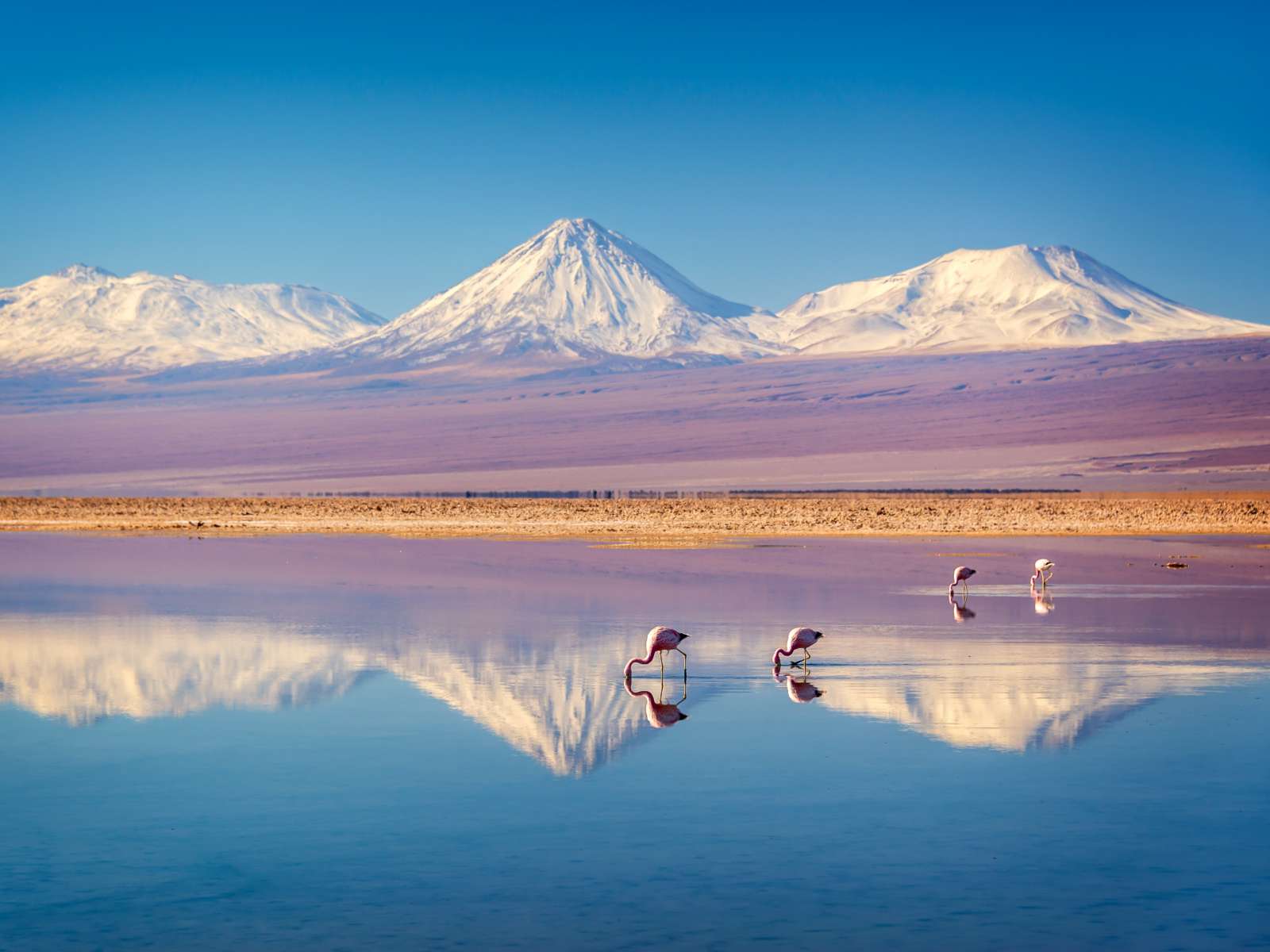 rondreis chili san pedro de atacama hoogtepunt 17