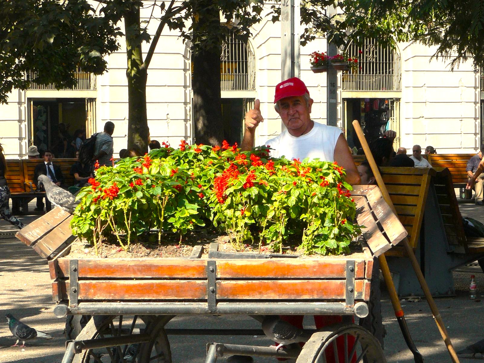 rondreis chili santiago de chile hoogtepunt 17