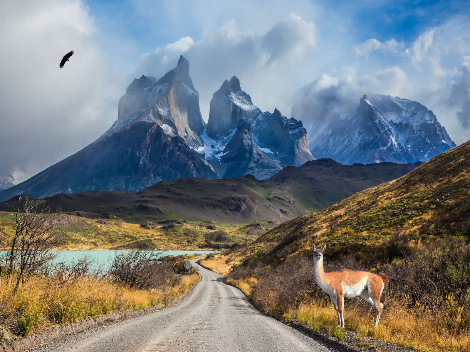 rondreis chili torres del paine hoogtepunt 16