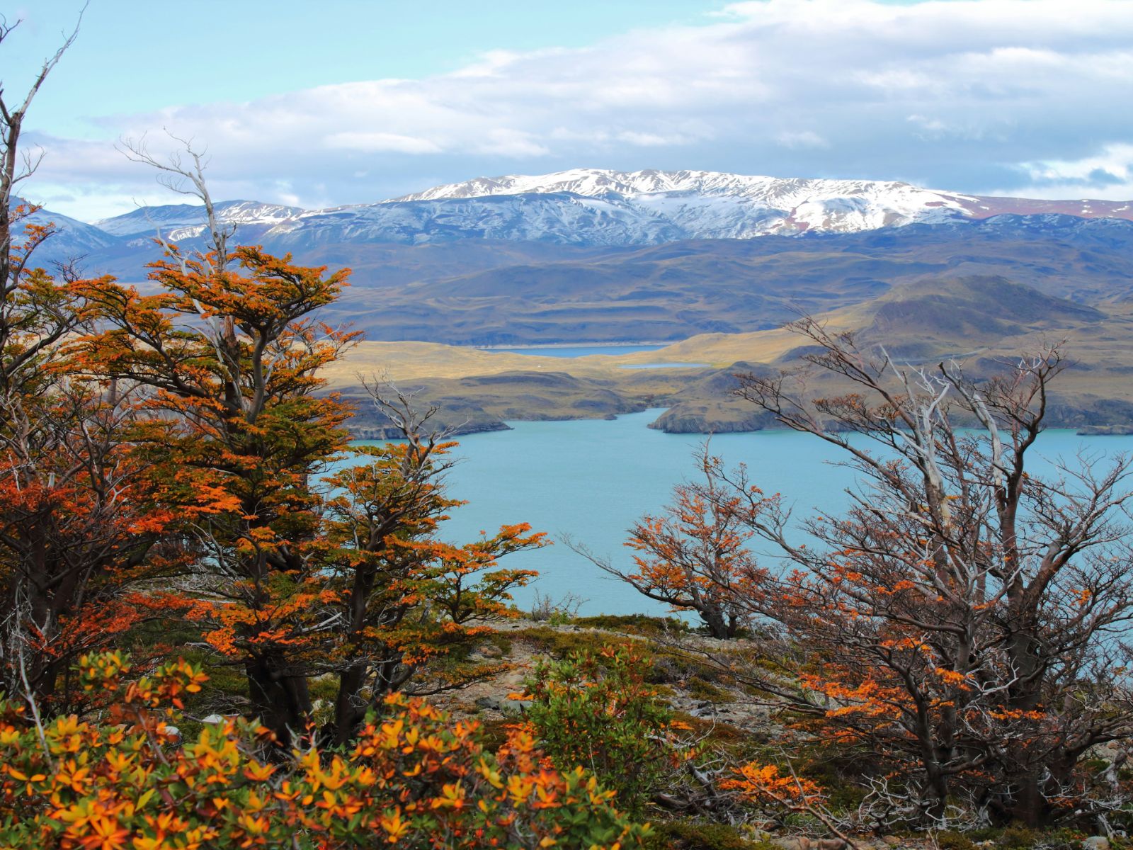 rondreis chili torres del paine hoogtepunt 20